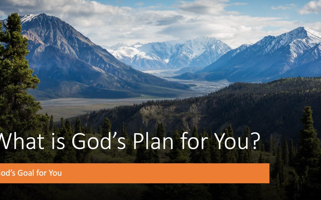 God’s Plan For You